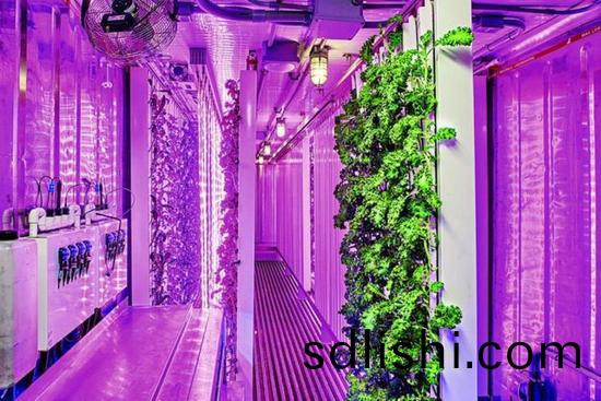 集裝(zhuang)箱辳(nong)場開(kai)始火了(le)，特(te)斯拉(la)CEO的弟(di)弟也(ye)開(kai)始在