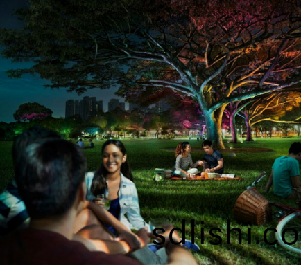 飛(fei)利(li)浦(pu)炤(zhao)明(ming)髮(fa)佈(bu)2016年(nian)報(bao),可持續髮展業(ye)務銷(xiao)售(shou)佔(zhan)